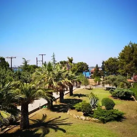 Next To The Beach *