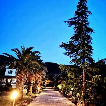 Next To The Beach